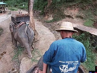 骑在泰国的大象与青少年