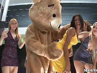 Niedźwiedź tańca pieprzy Latina Kayla Carrera w Hot Bachelorette Party